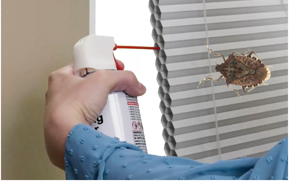 lady using an air compressed can to remove dust and bugs from cellular shades
